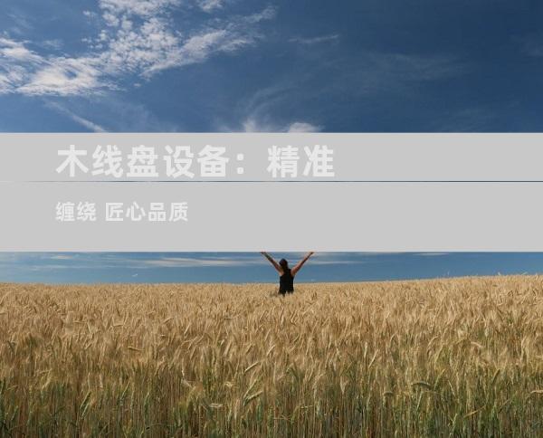 木线盘设备：精准缠绕 匠心品质